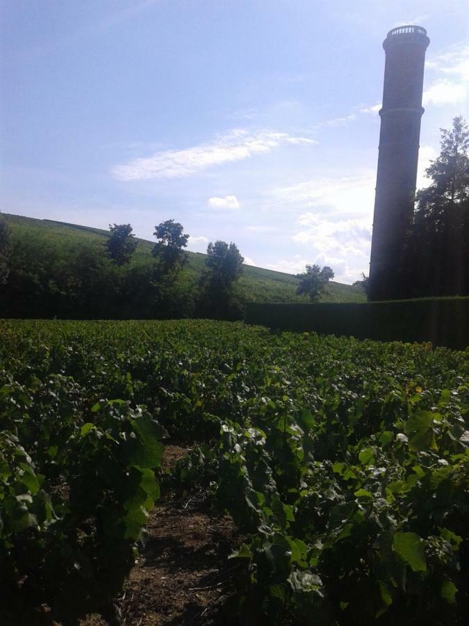 Gasthuis La Maison Des Vignes *