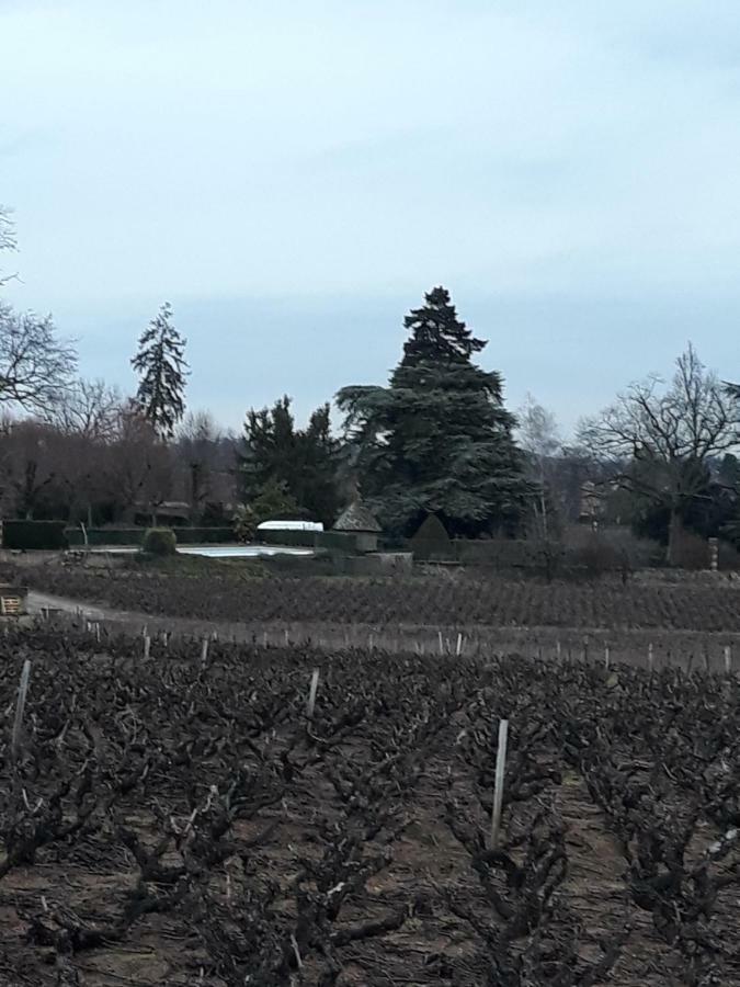 La Maison Des Vignes Casa de hóspedes Charentay