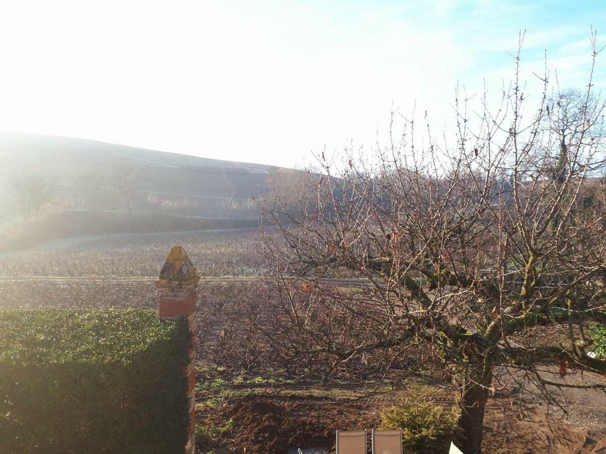 La Maison Des Vignes * Charentay