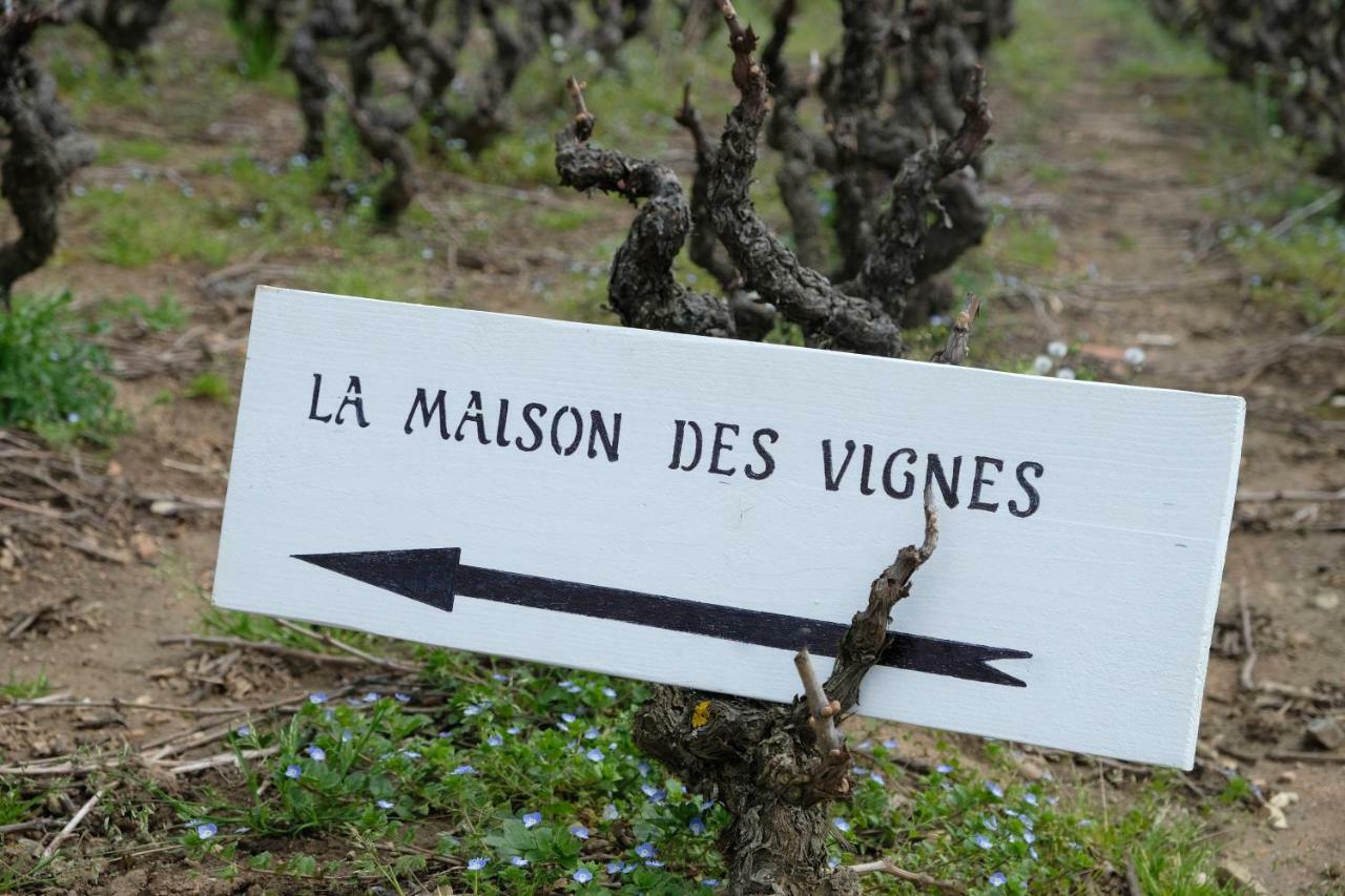 Casa de hóspedes La Maison Des Vignes Charentay